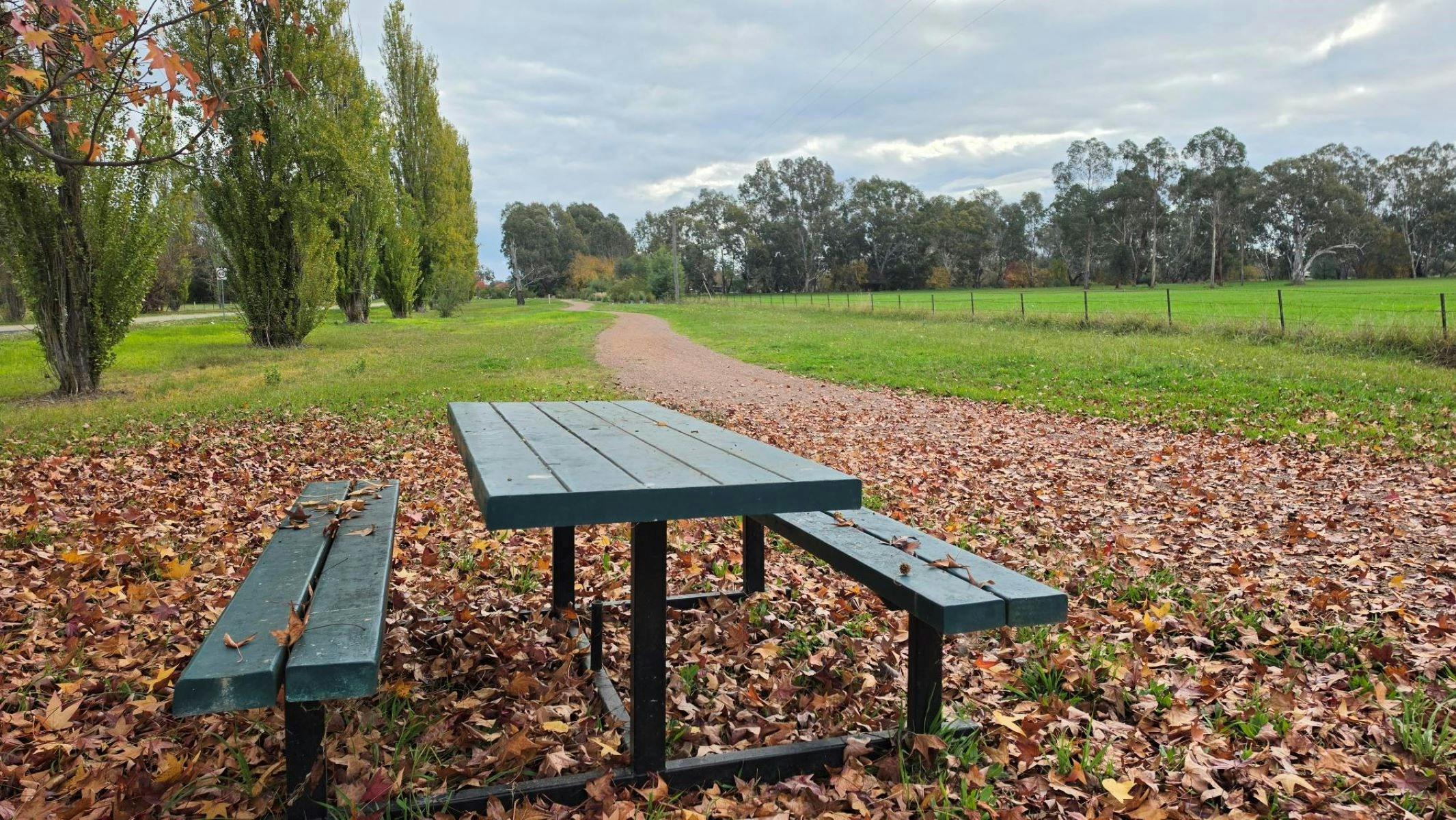 A green picnic bench and chairs in amongst fallen autumn leaves coloured orange and red