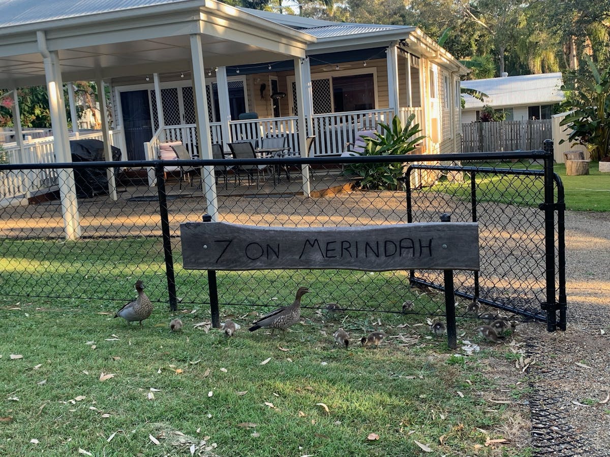 Ducks at entrance