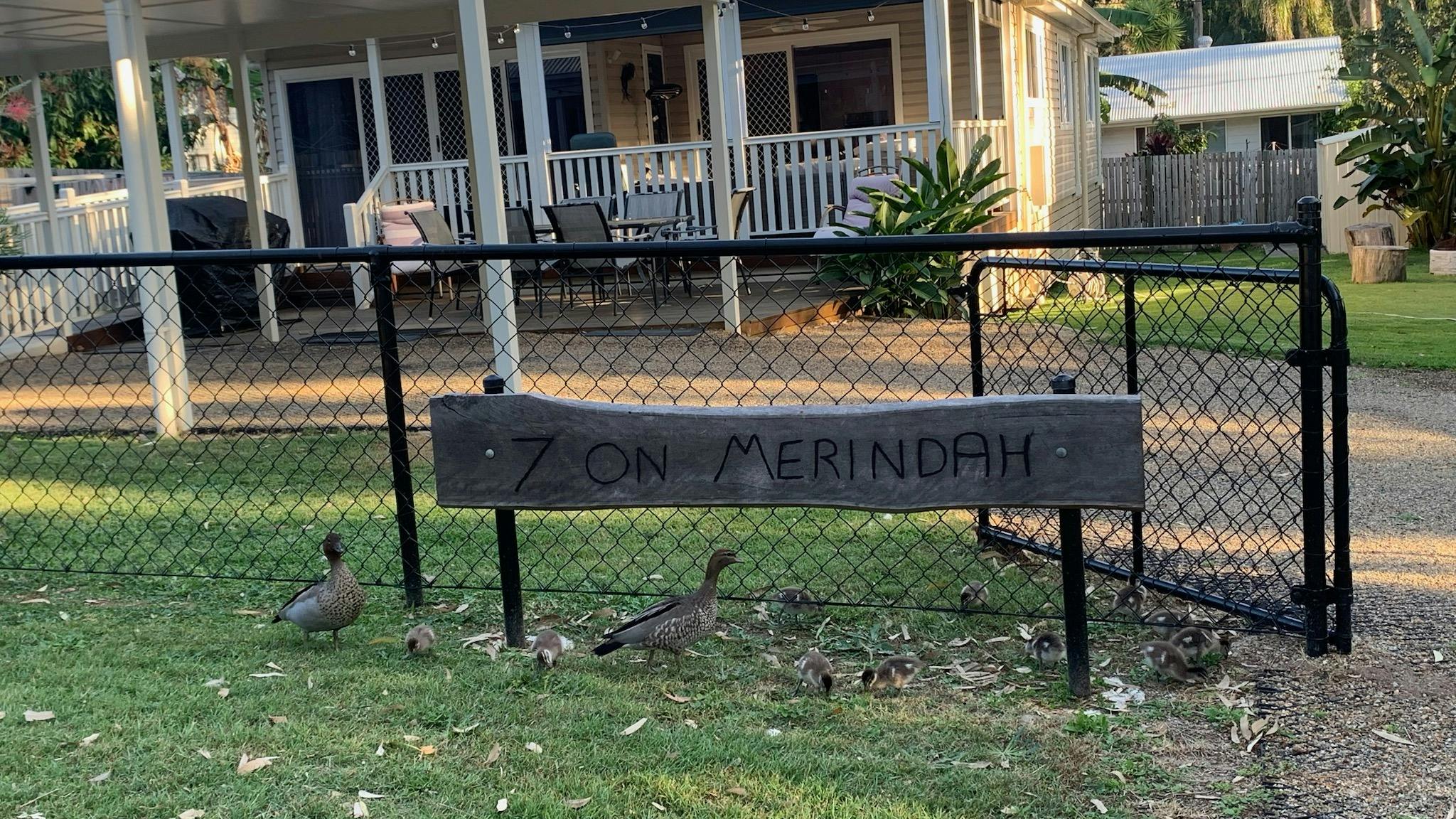 Ducks at entrance Ducks at entrance
