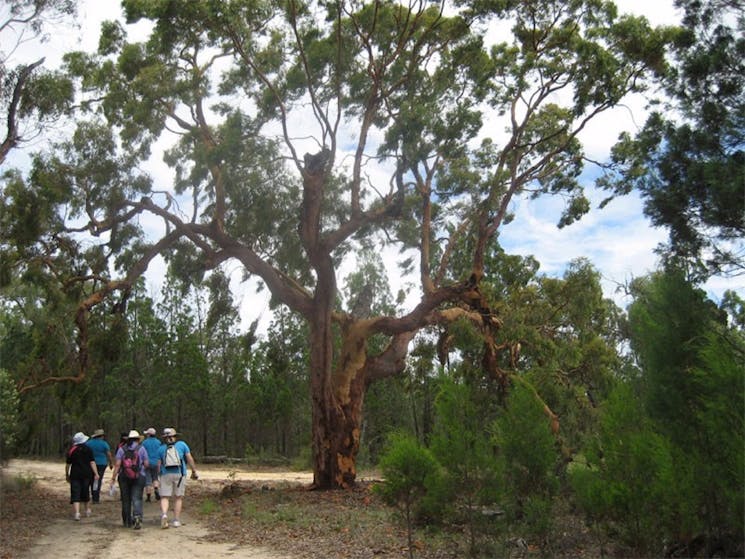 Koorilgur Nature Reserve