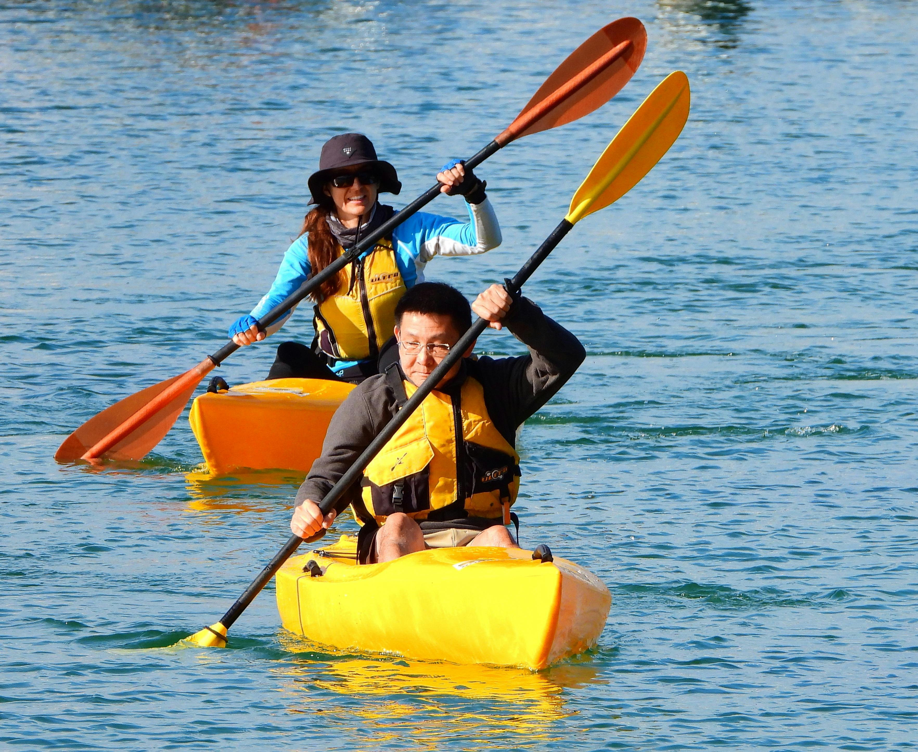 Free Learn to Kayak Lesson Sydney, Australia Official Travel