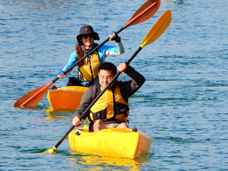 Free Learn to Kayak Lessons