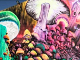 Ignition Fitness mushroom