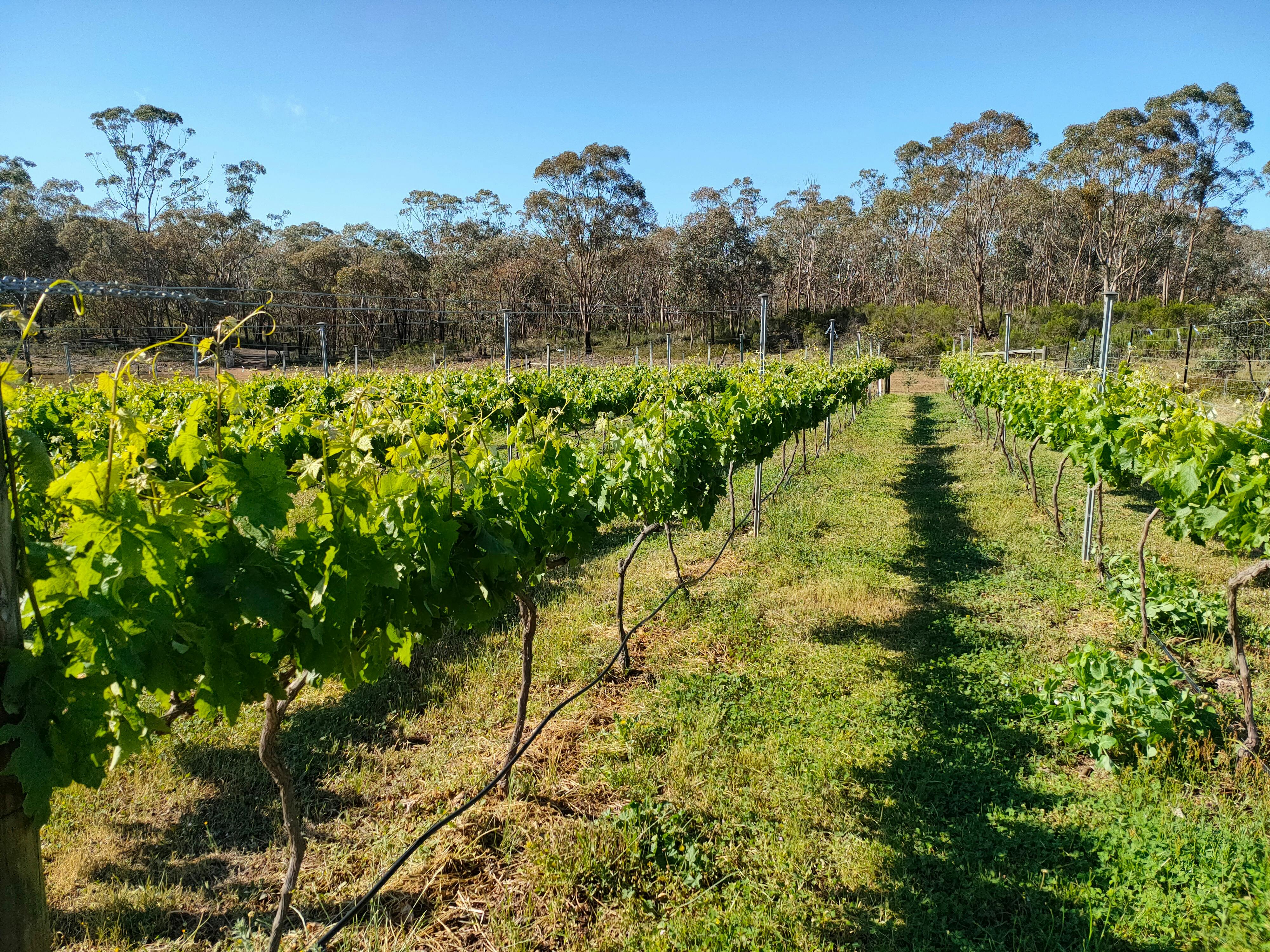 Three Dams Estate