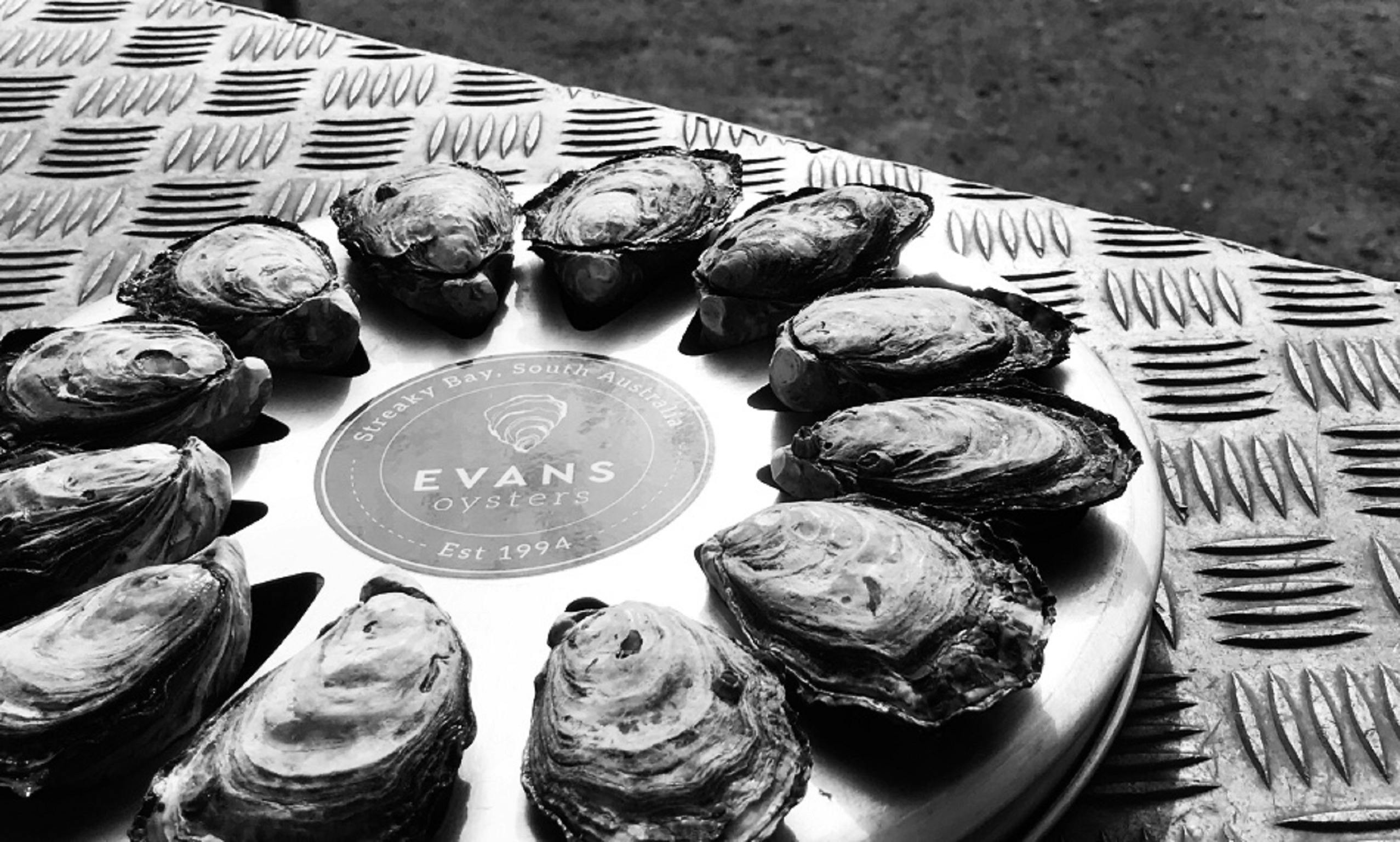 Premium Oysters