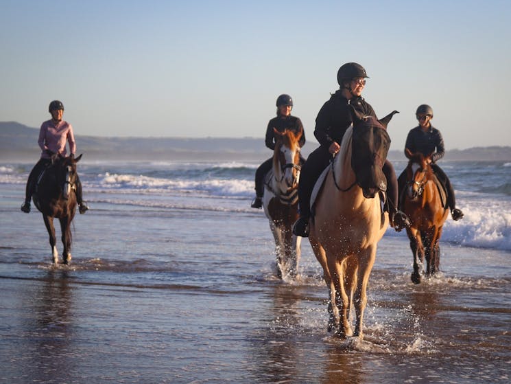 Regal Riding School | NSW Holidays & Accommodation, Things to Do ...