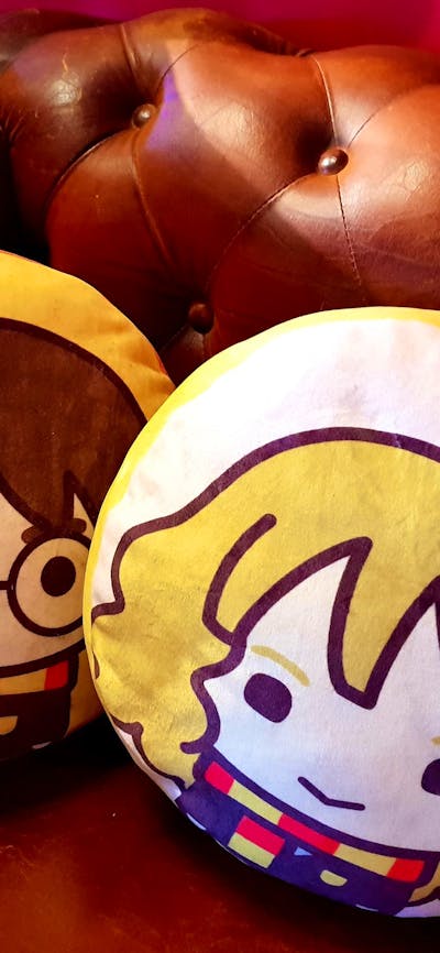 Two soft cushions - featuring Kawai Harry Potter and Hermione Granger - on a leather lounge.
