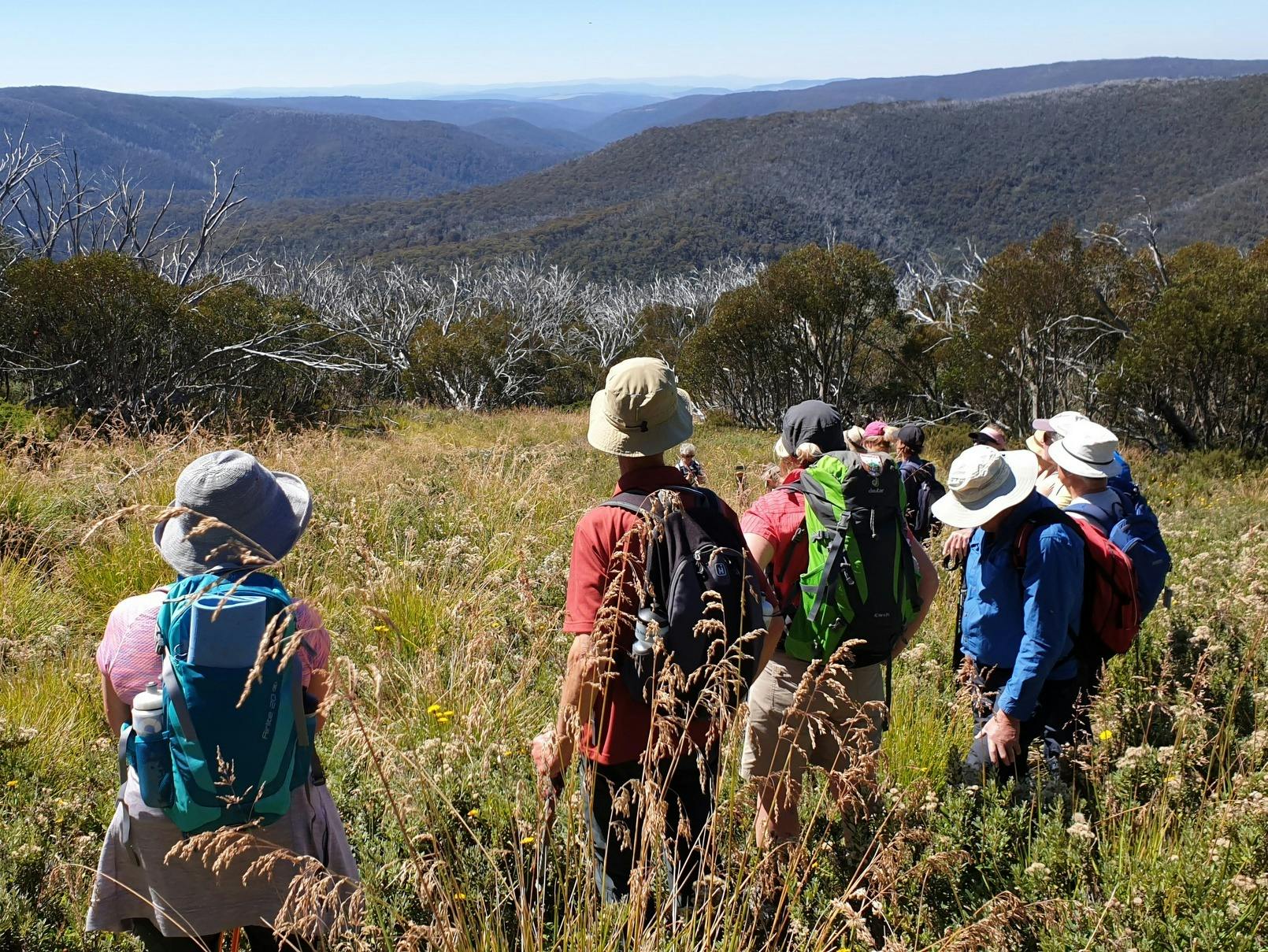 Enjoy amazing High Country views