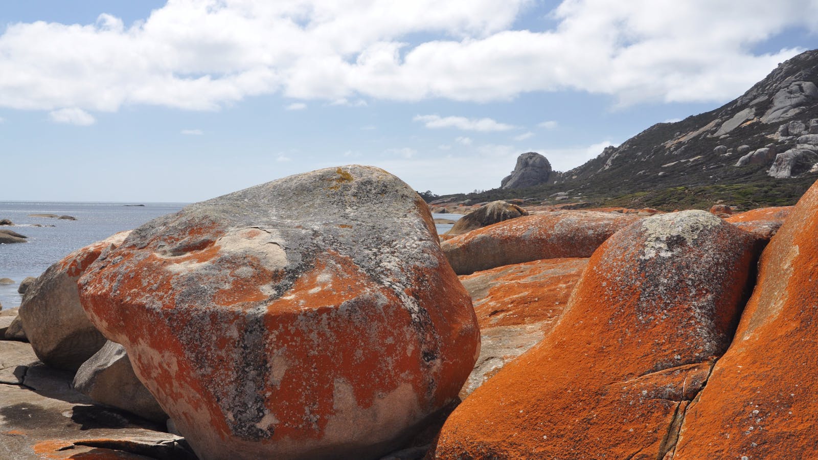Drive Discovery North Flinders Island