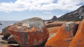 Drive Discovery North Flinders Island