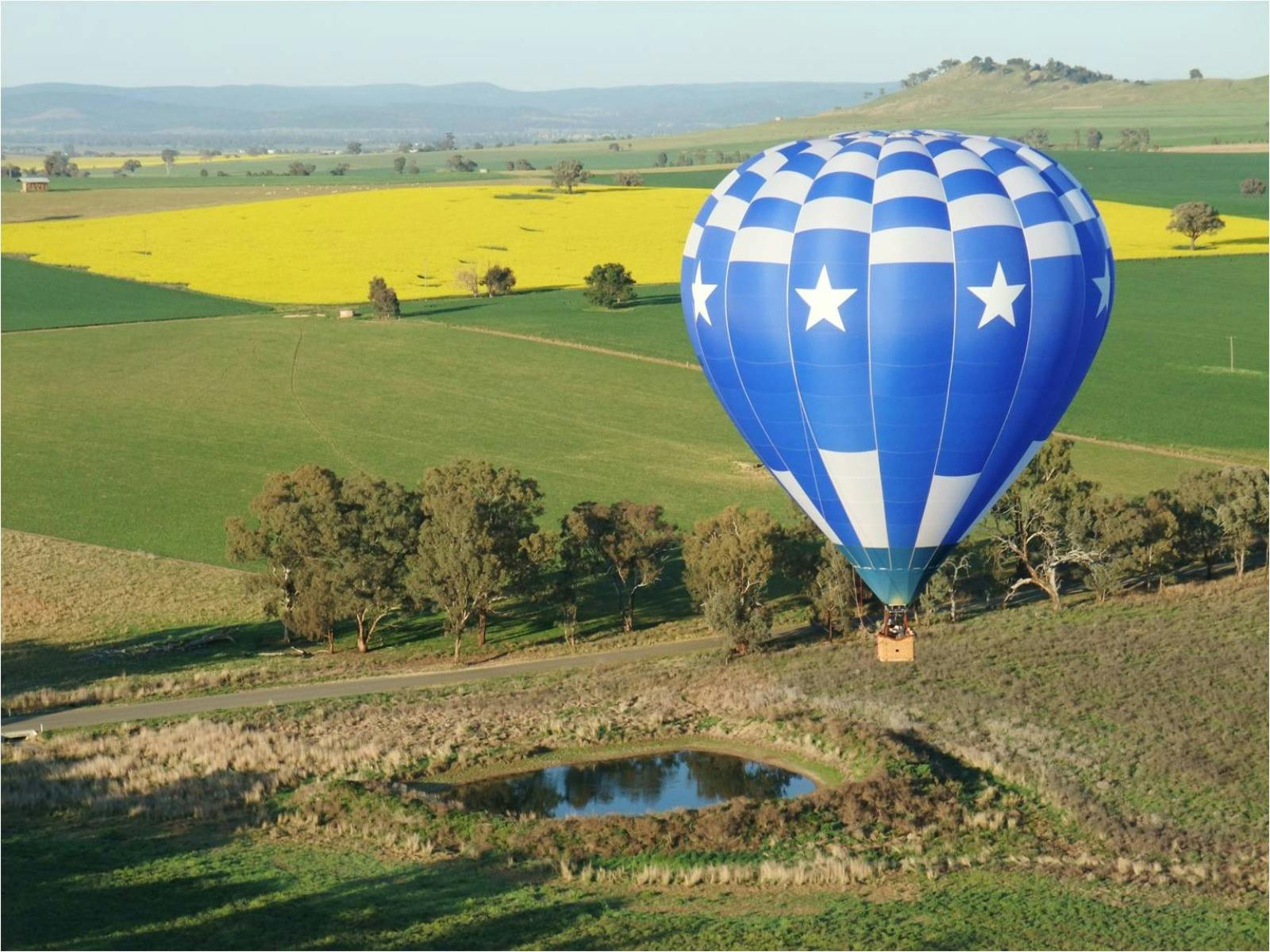 Canola Balloon Flights - Cowra Canola Experiences