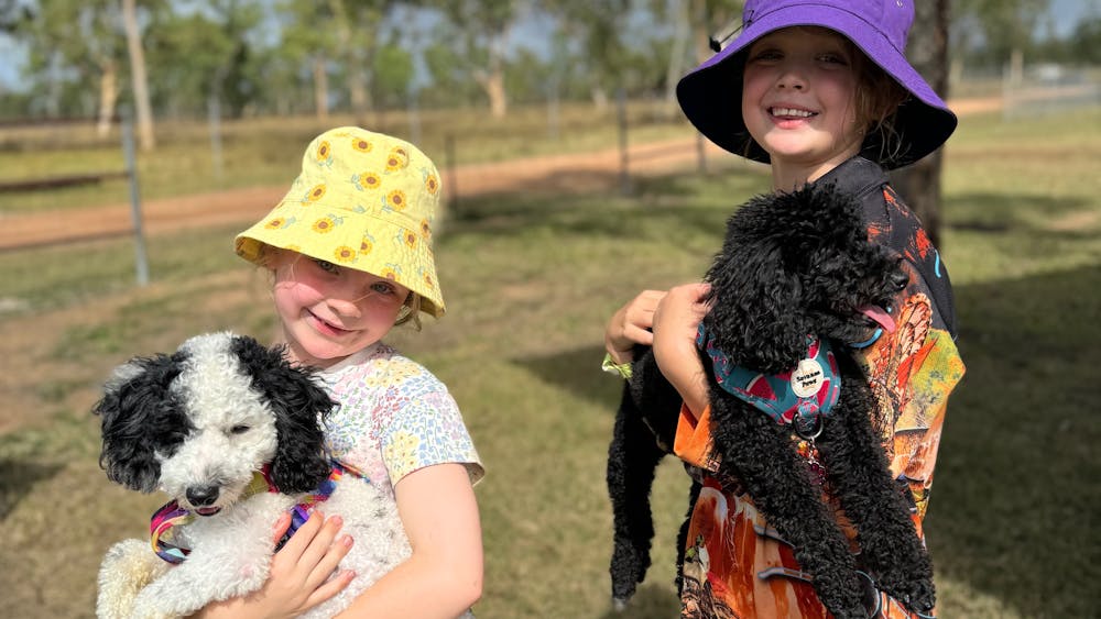 Mountview Farm Stay and Poodles