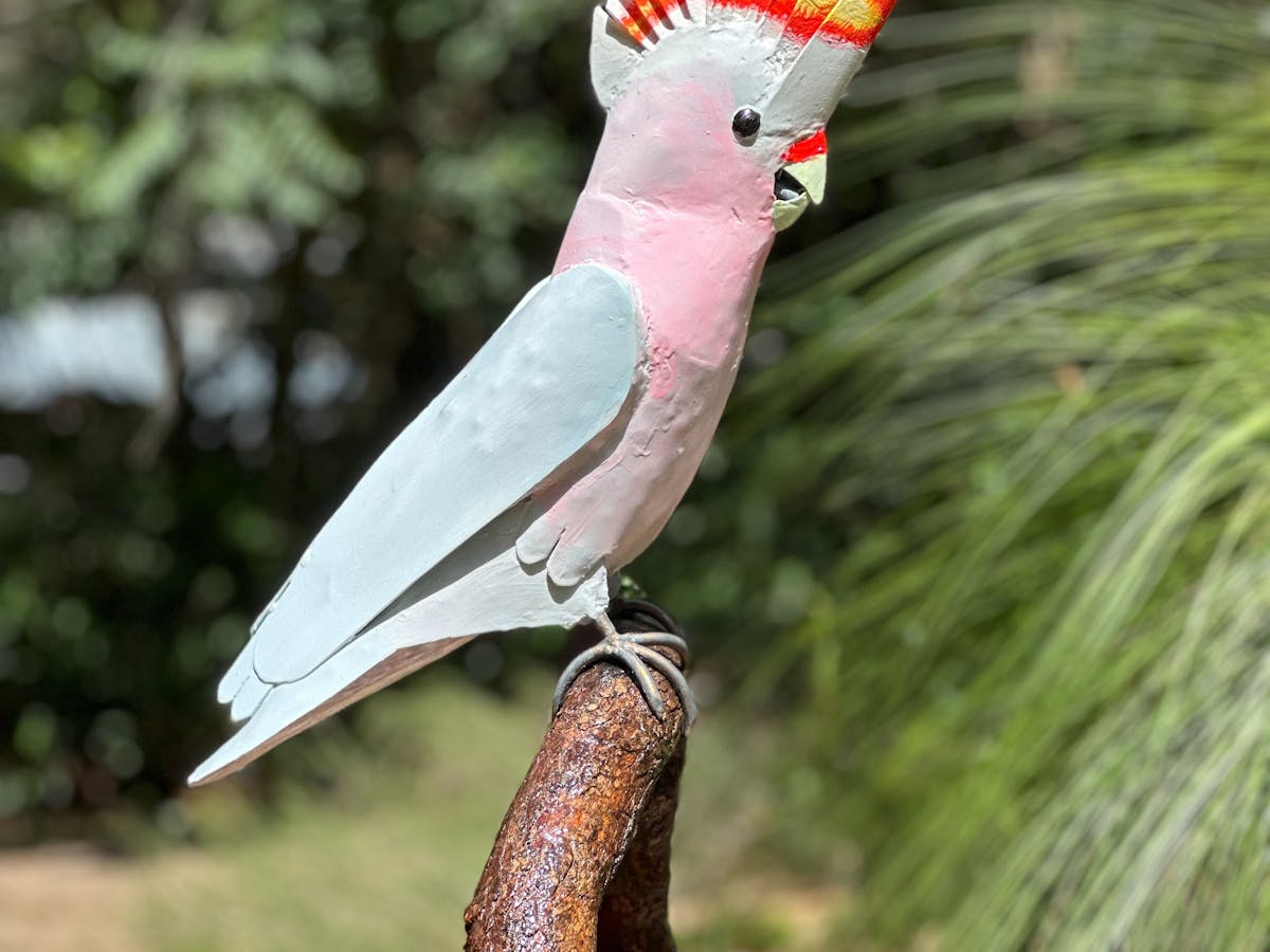 The Pink Cockatoo-Richard Eggleston