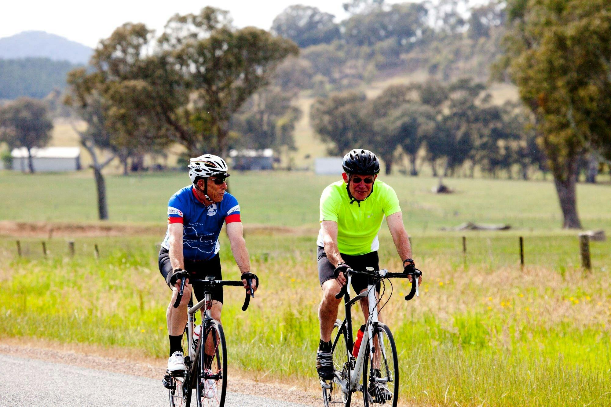 Two cyclists riding on the road, green grasses beside road, fences, paddocks and trees in background
