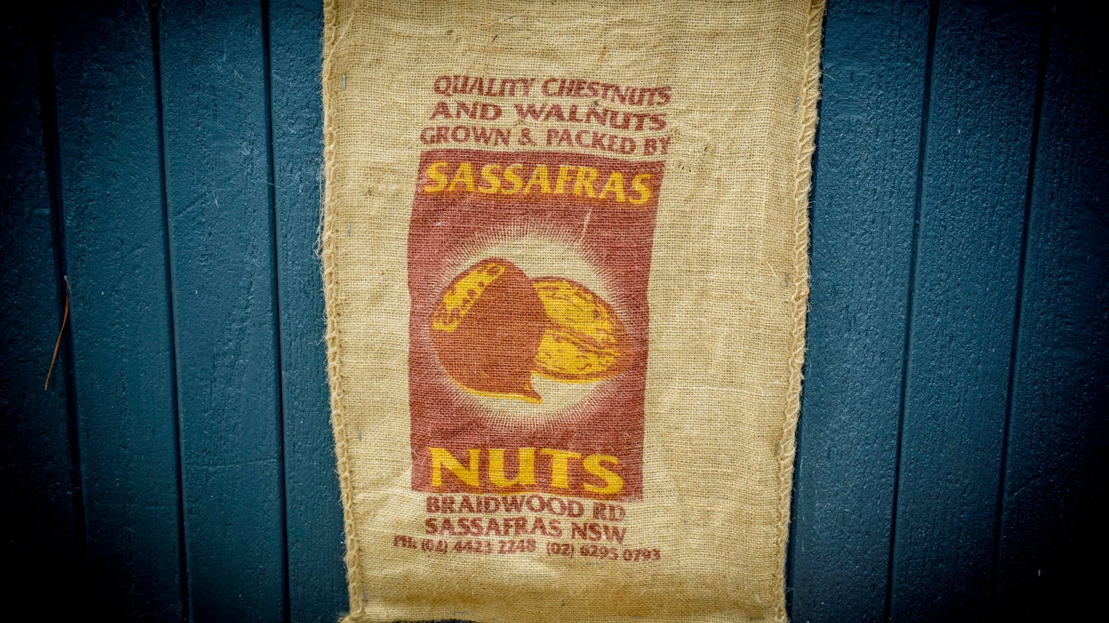 Sassafras Nuts