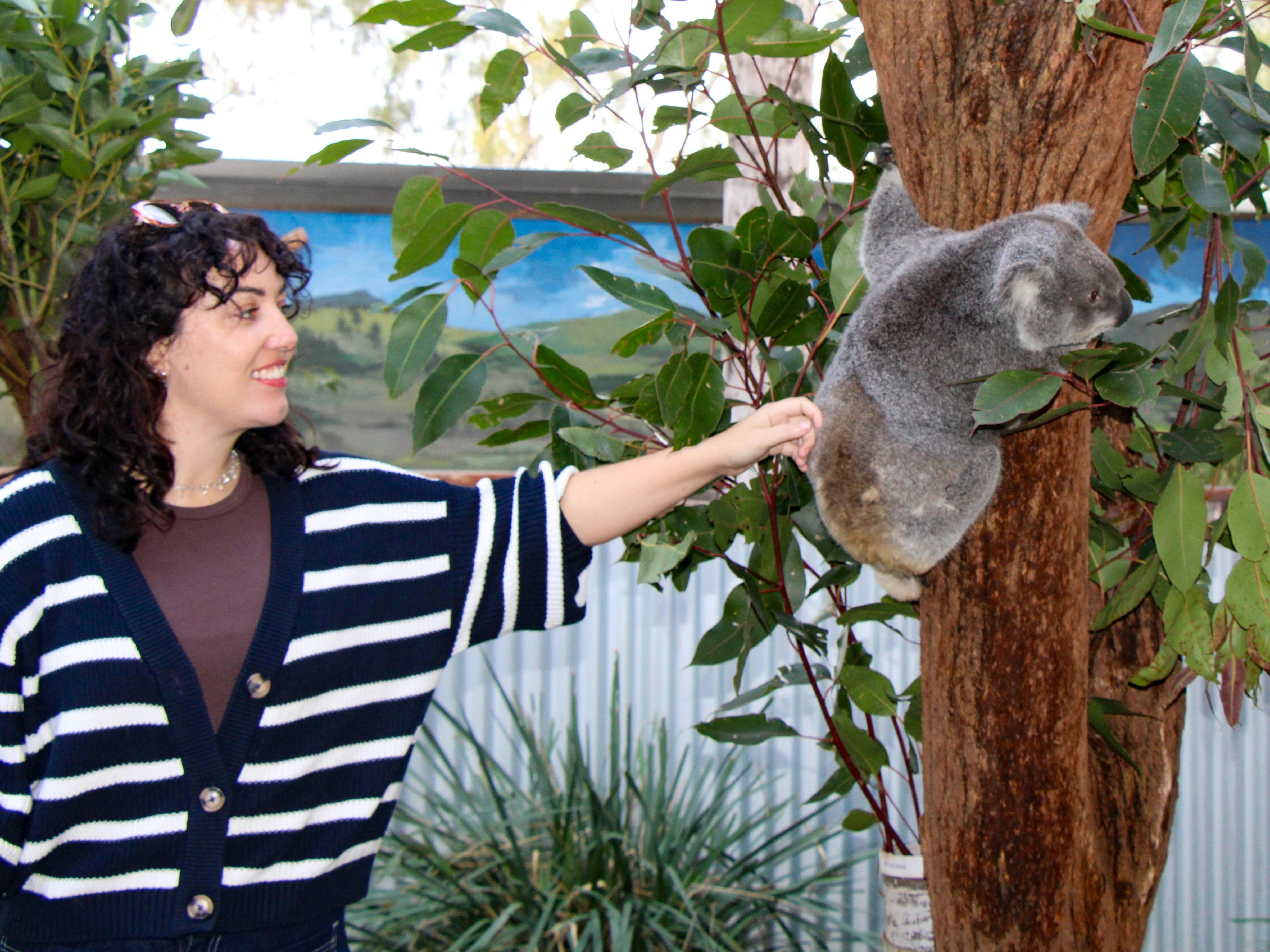 Animal Encounters