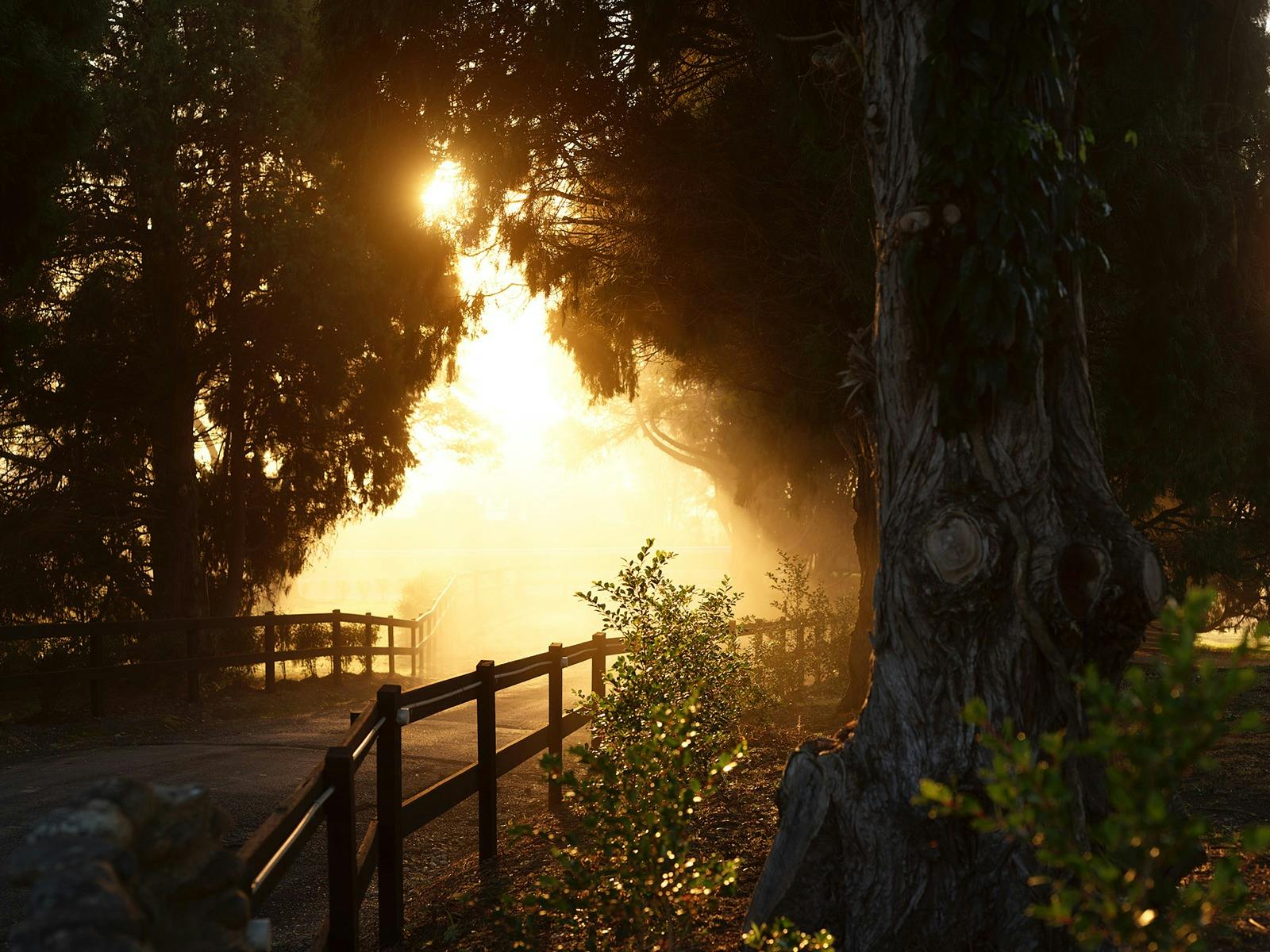 Dining at Three Blue Ducks