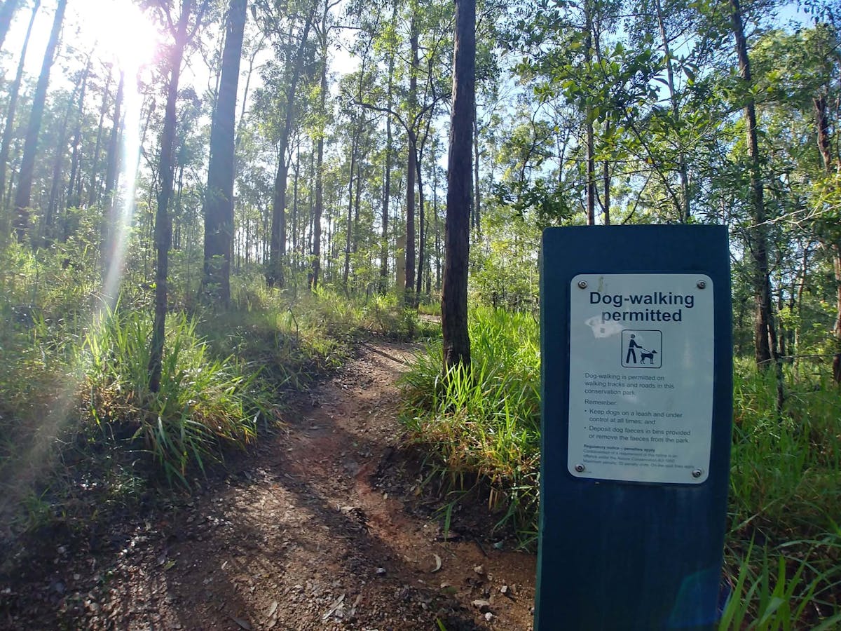 A sunlit path in Samford Conservation Forest, with a sign explaining the Park permits dog-walking