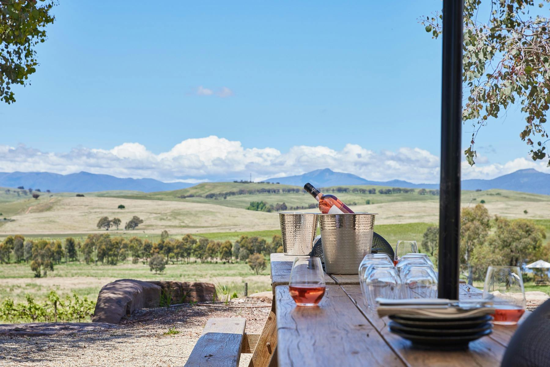 Picnic table with a bottle of rose wine in a wine cooler and a glass of rose