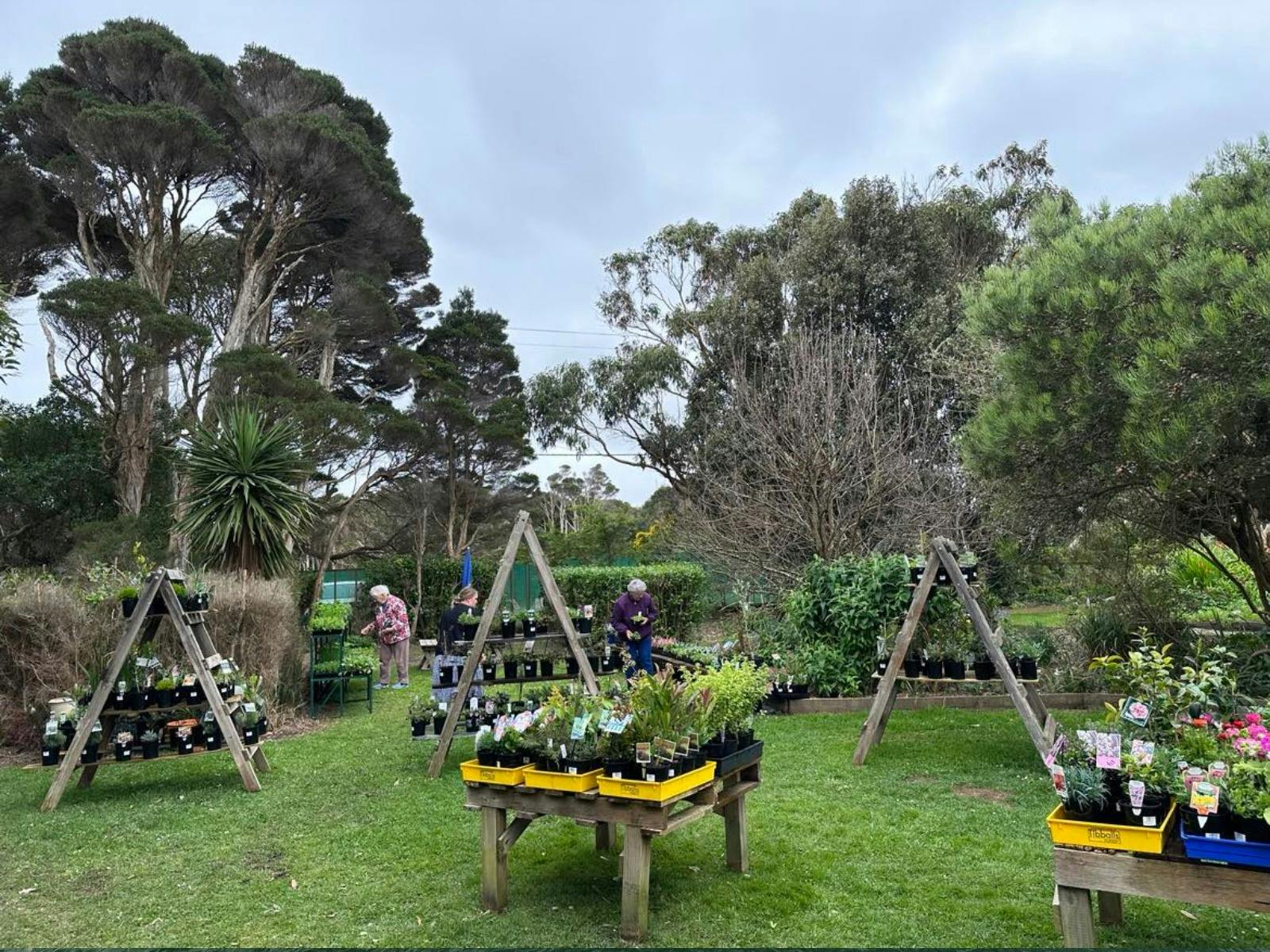 The Nursery and Florist- King Island