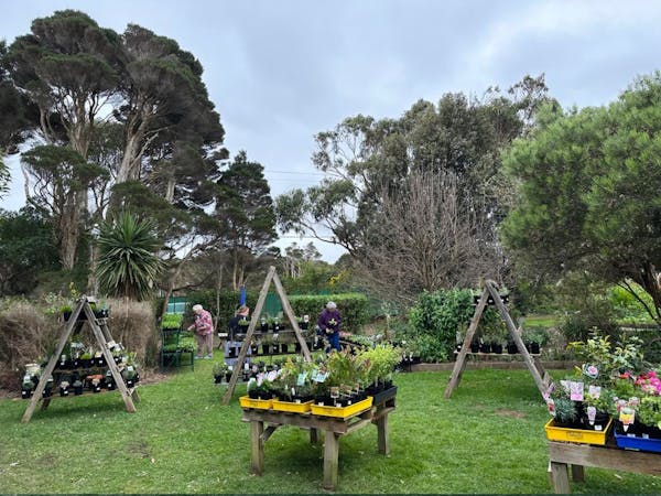 The Nursery and Florist- King Island