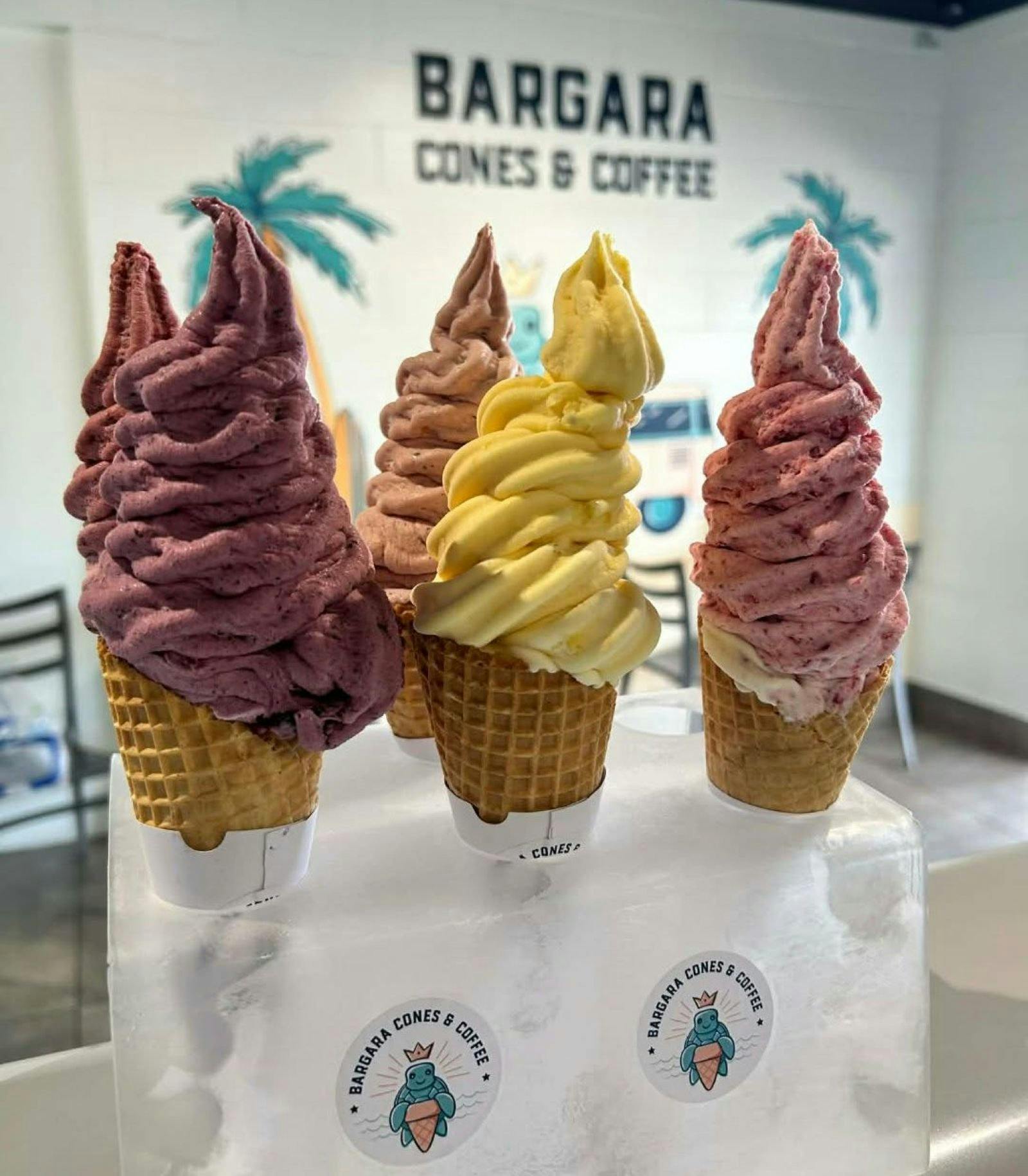 Realfruit Icecream