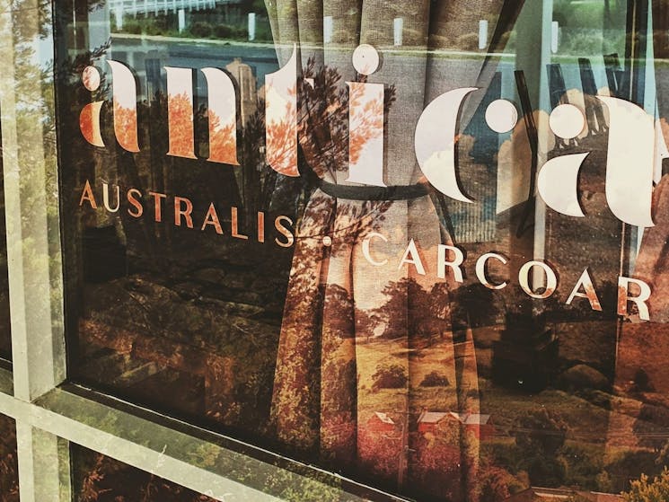 Window of Antica Australis