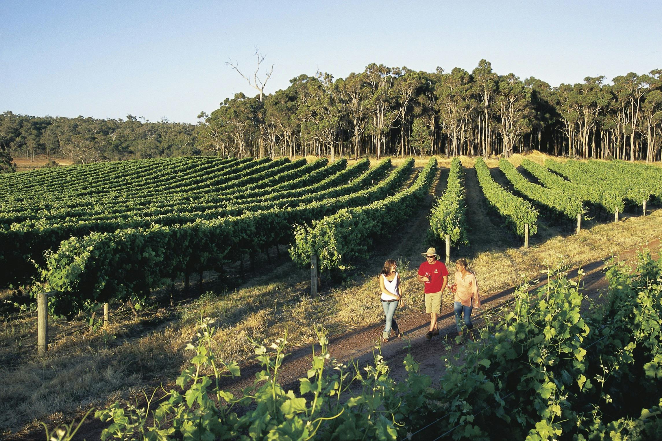 2 Day Margaret River Wine Tour and Food Lovers Experience