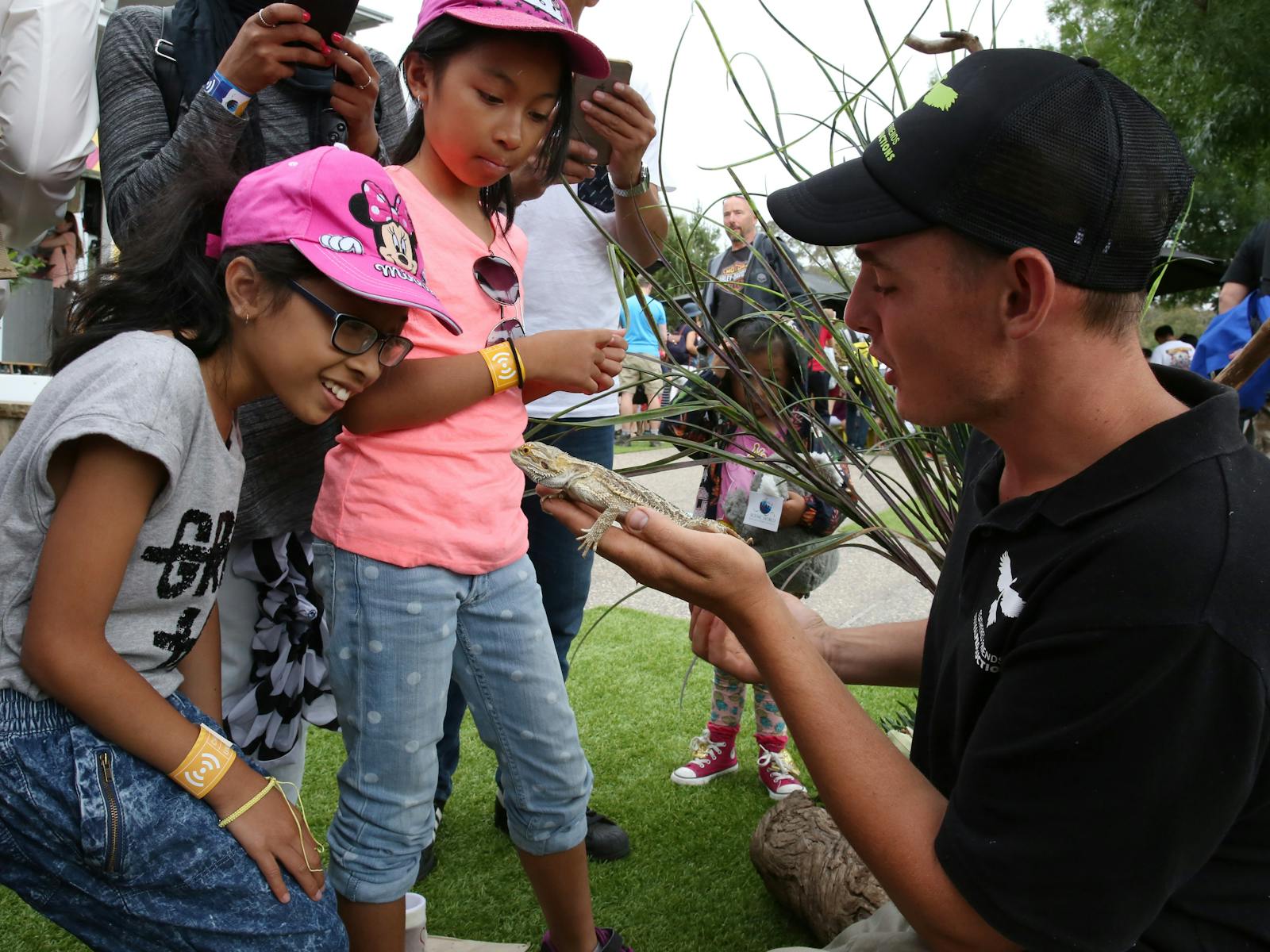 Image for Summer School Holidays at Scenic World