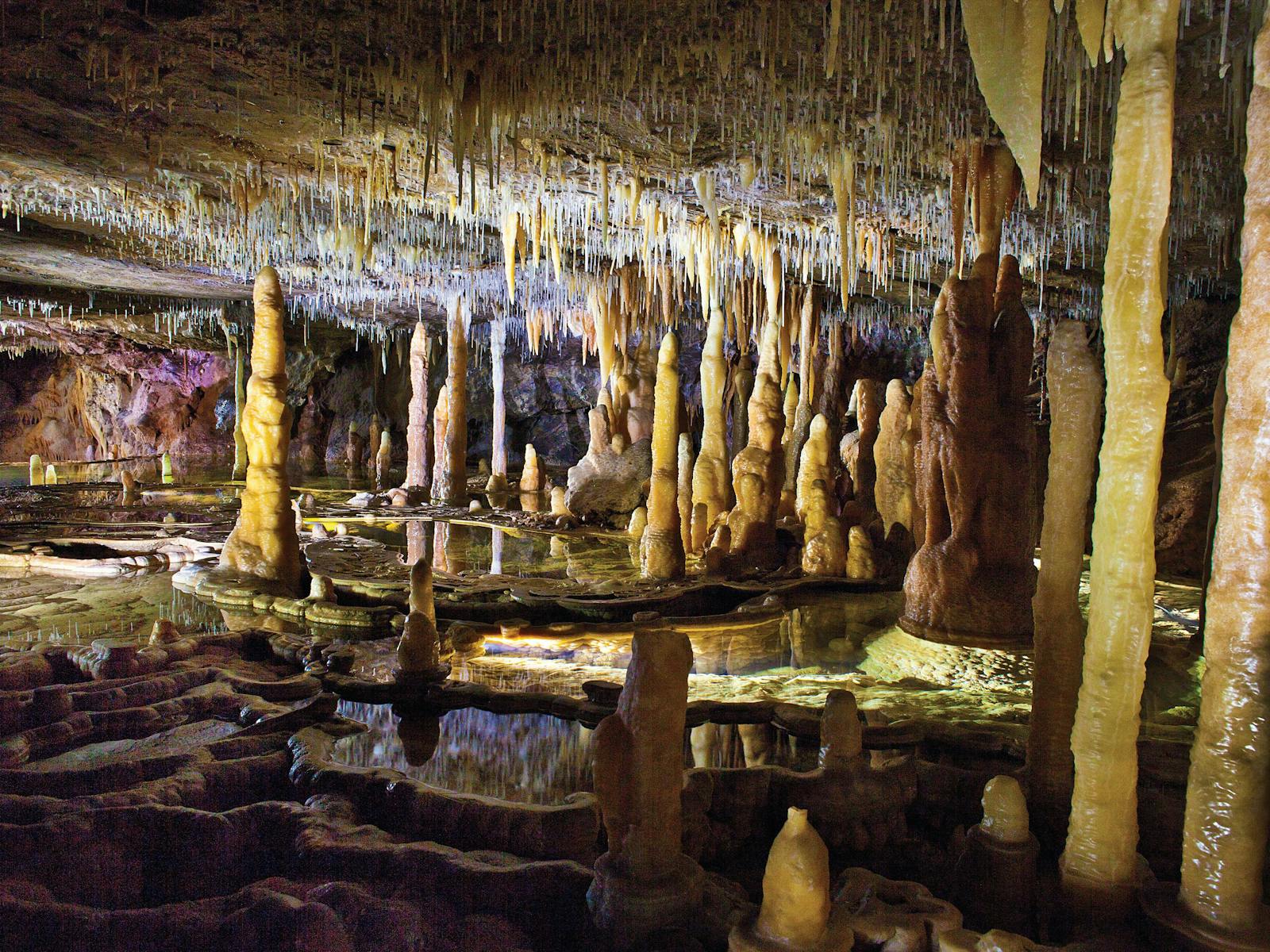Buchan Caves Reserve