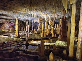 Buchan Caves Reserve