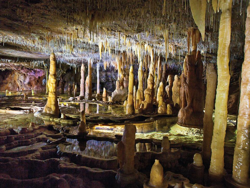 Buchan Caves Reserve