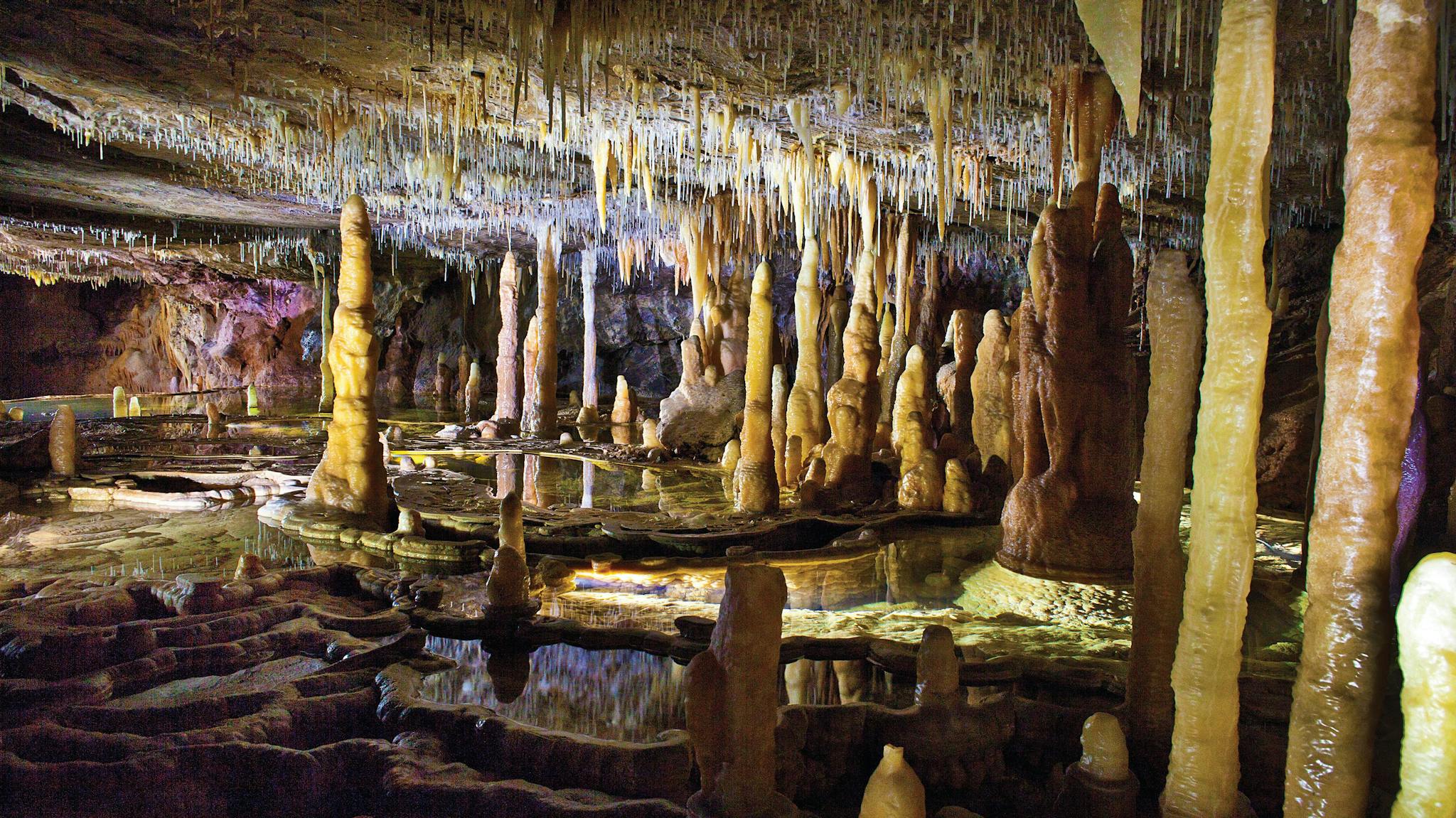 Buchan Caves Reserve