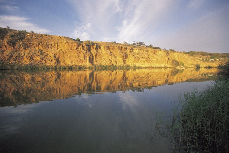 Murray River Highlights Tour