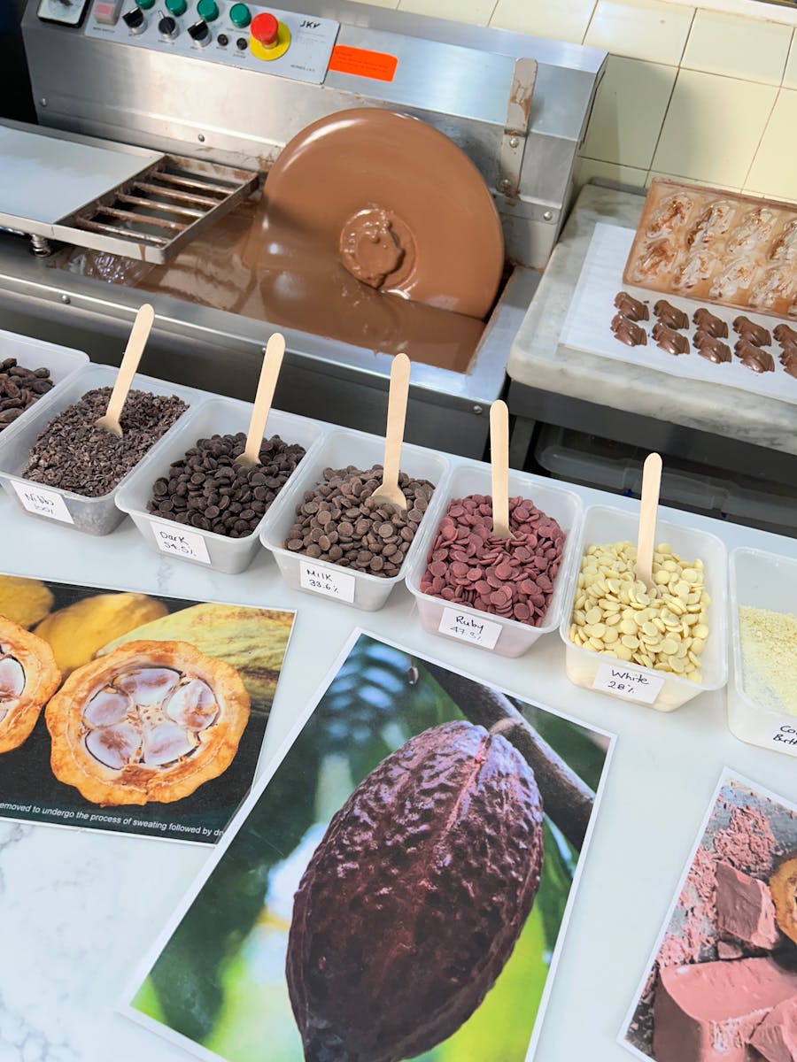 Chocolate Workshops The Treat Factory Berry