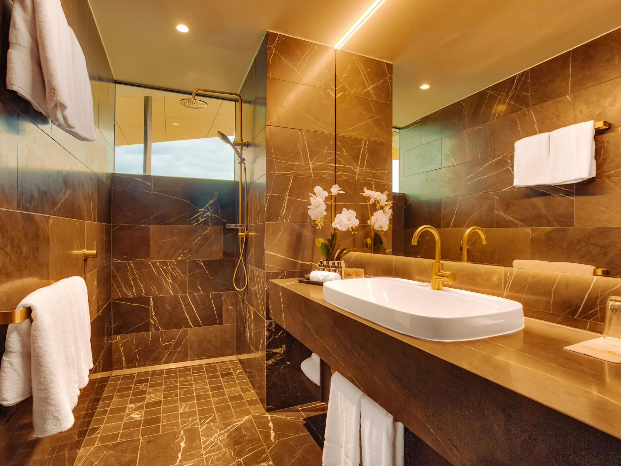 Deluxe Bathroom Deluxe Bathroom