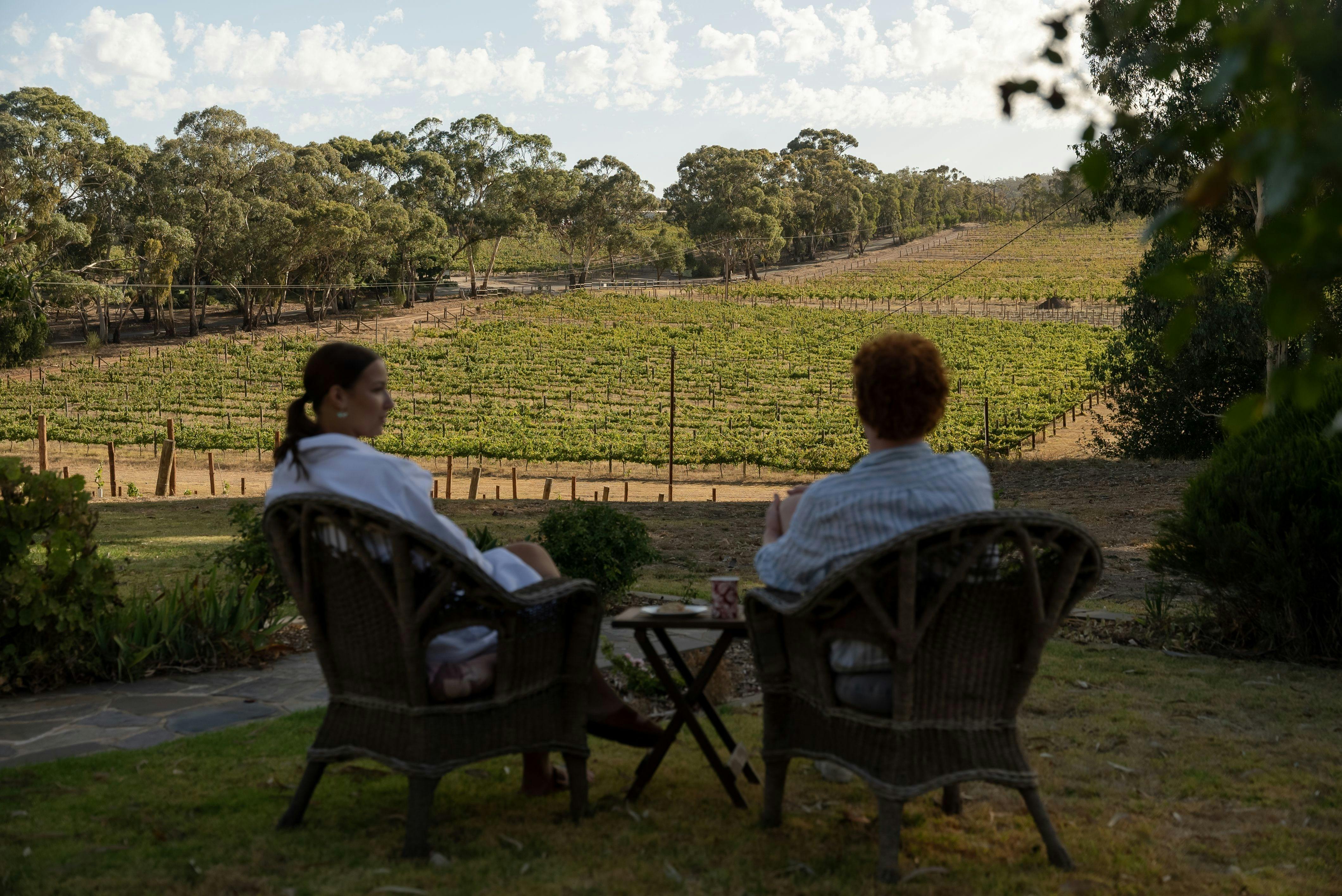 Relaxing setting in front of vineyards in the picturesque  Clare Valley
