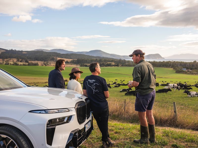 dairy farm tour with farmer and cows overlooking amazing view of marion bay