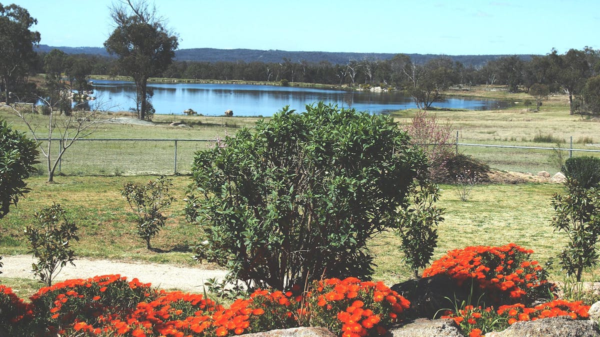 flower lake