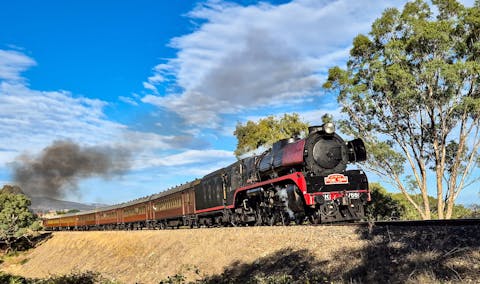 Kiama Picnic Train