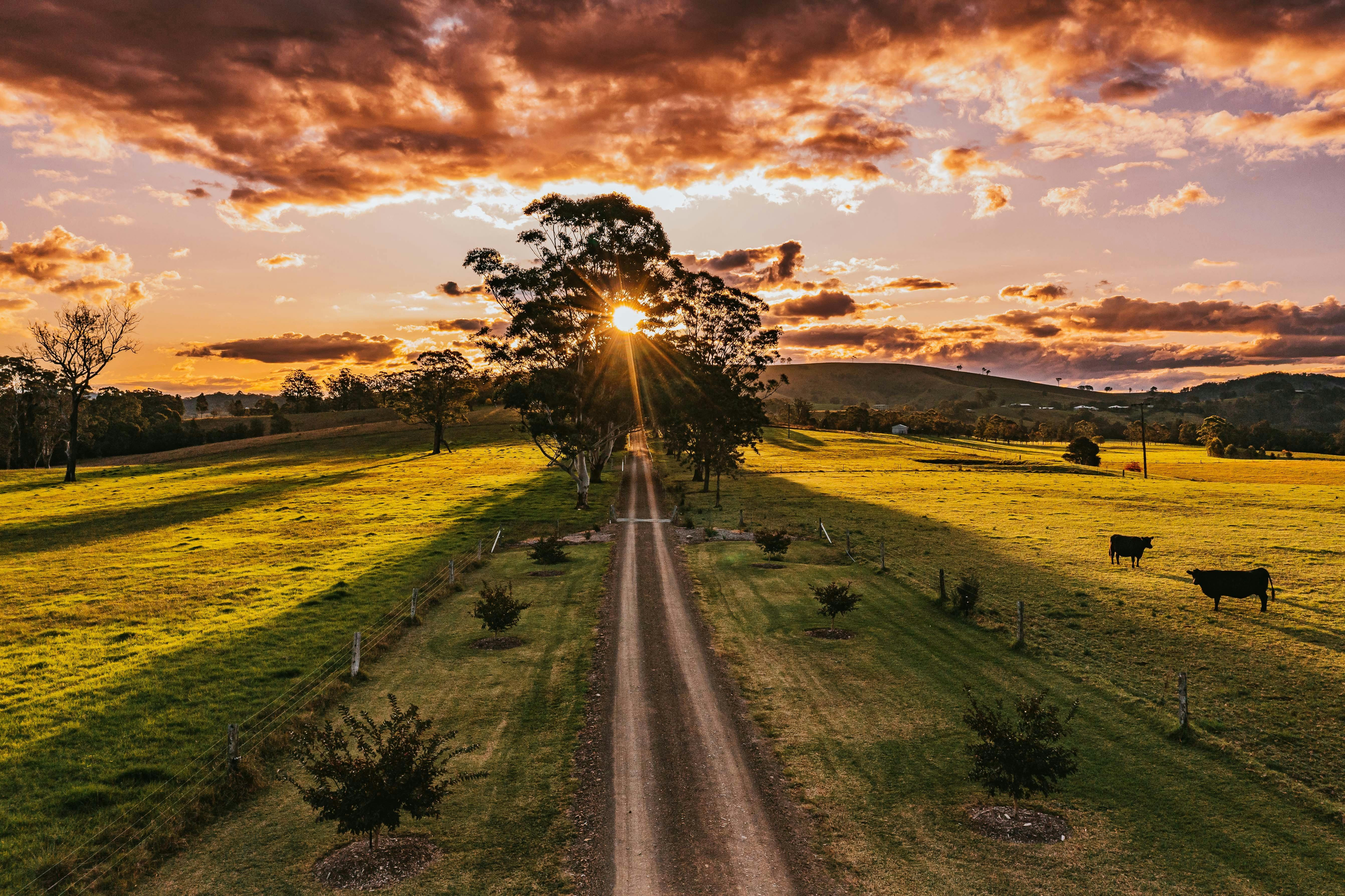 Clarries Green Farm Stay