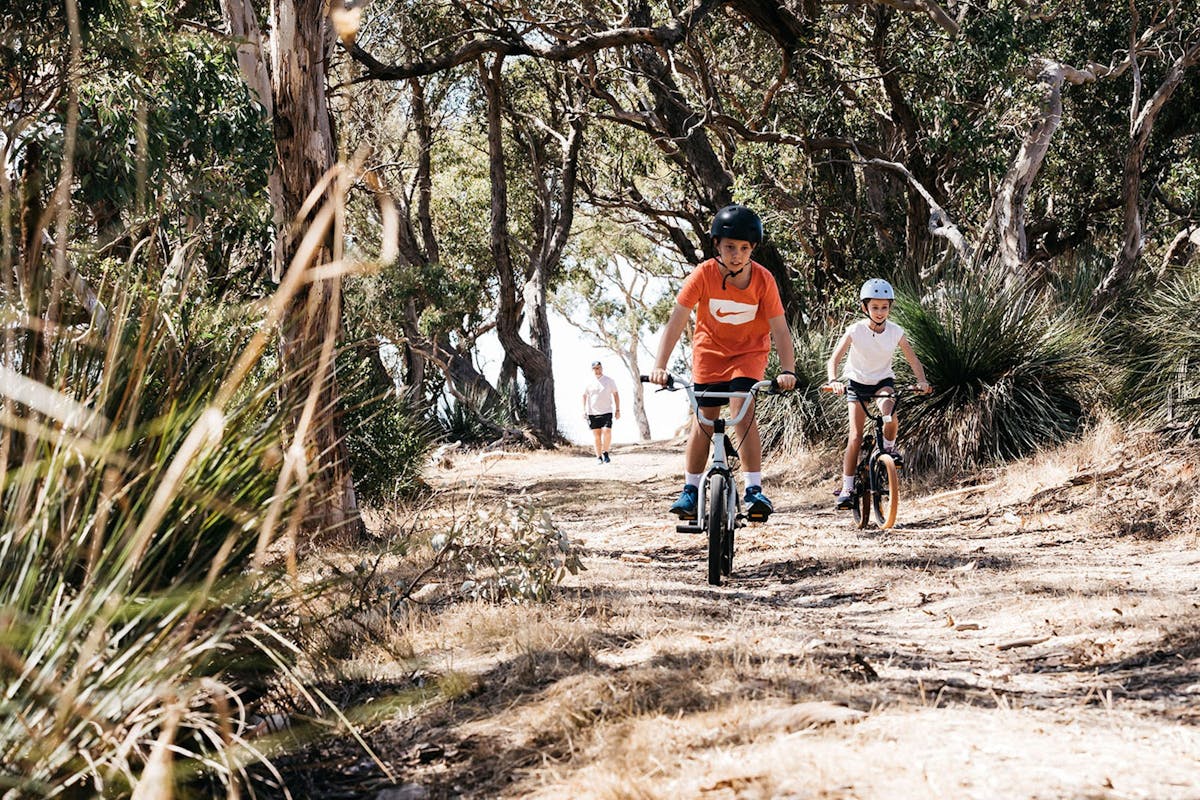 Walk, run or ride the trails at Myponga Reservoir Reserve