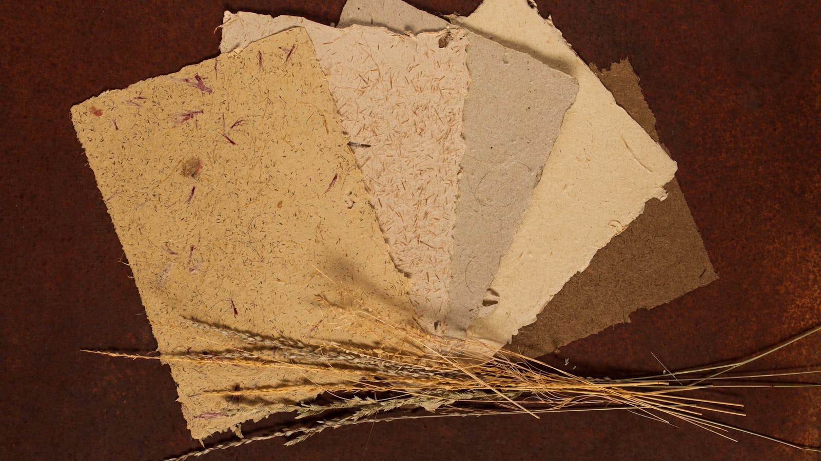 Curtin Springs Paper
