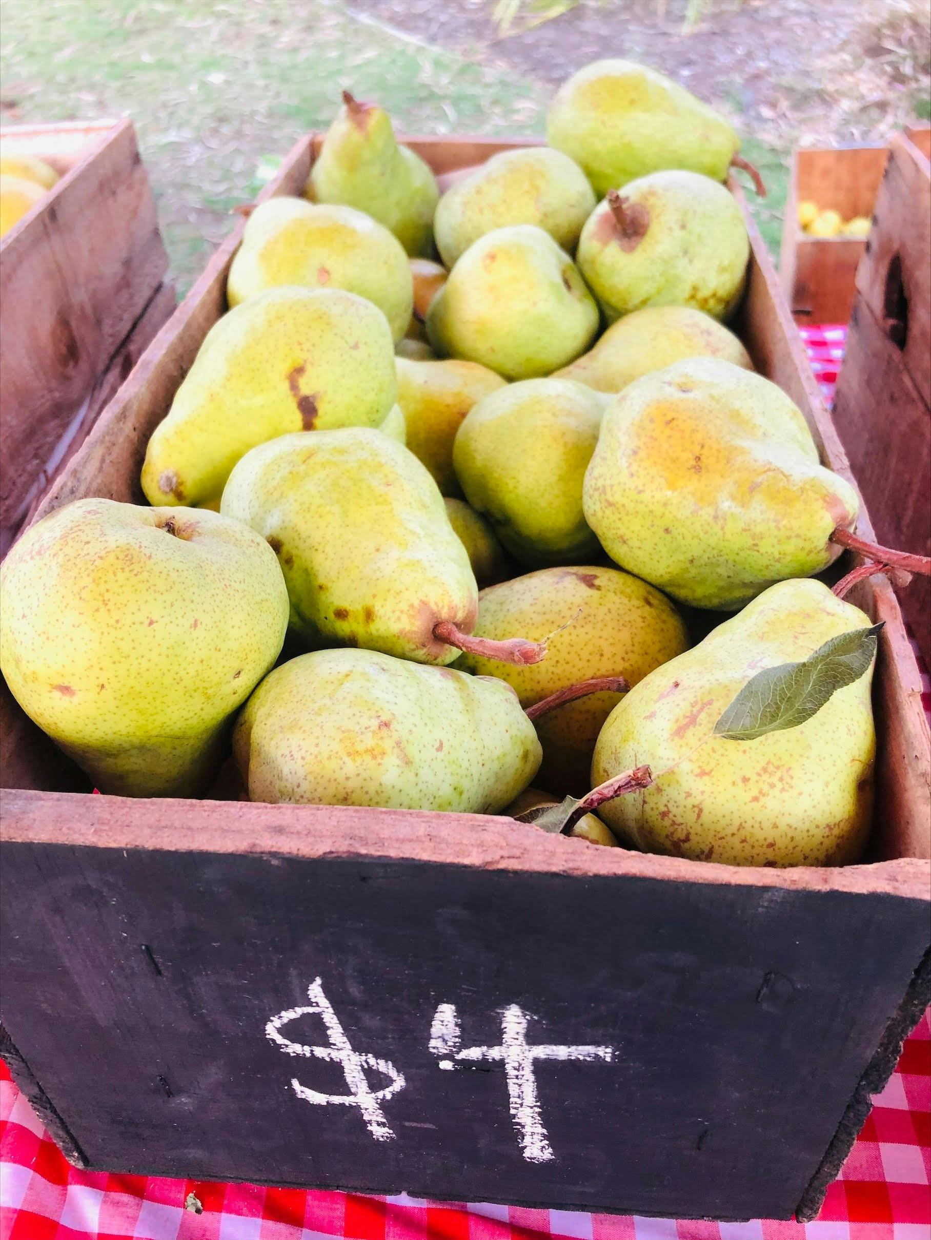 Green pears in a wooden apple box with a chalkboard in front and the number $4 written in chalk