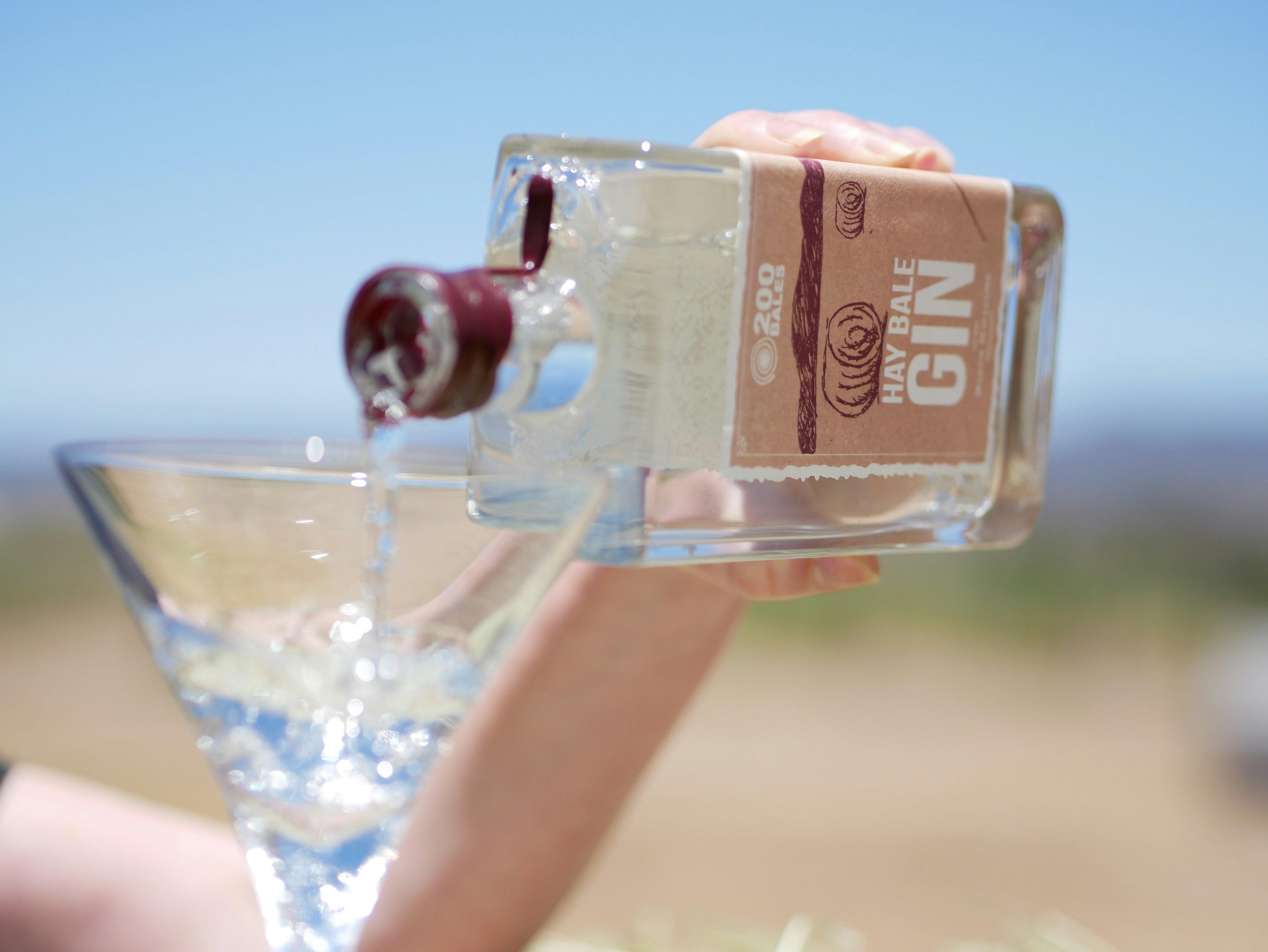 베이커 윌리엄스 헤이 베일 진