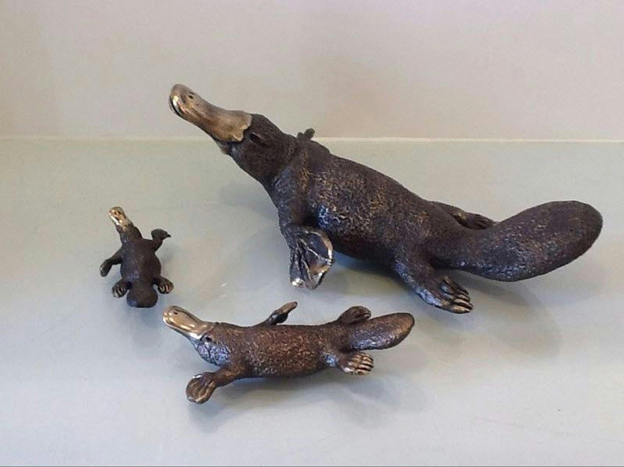 アーガイルギャラリー