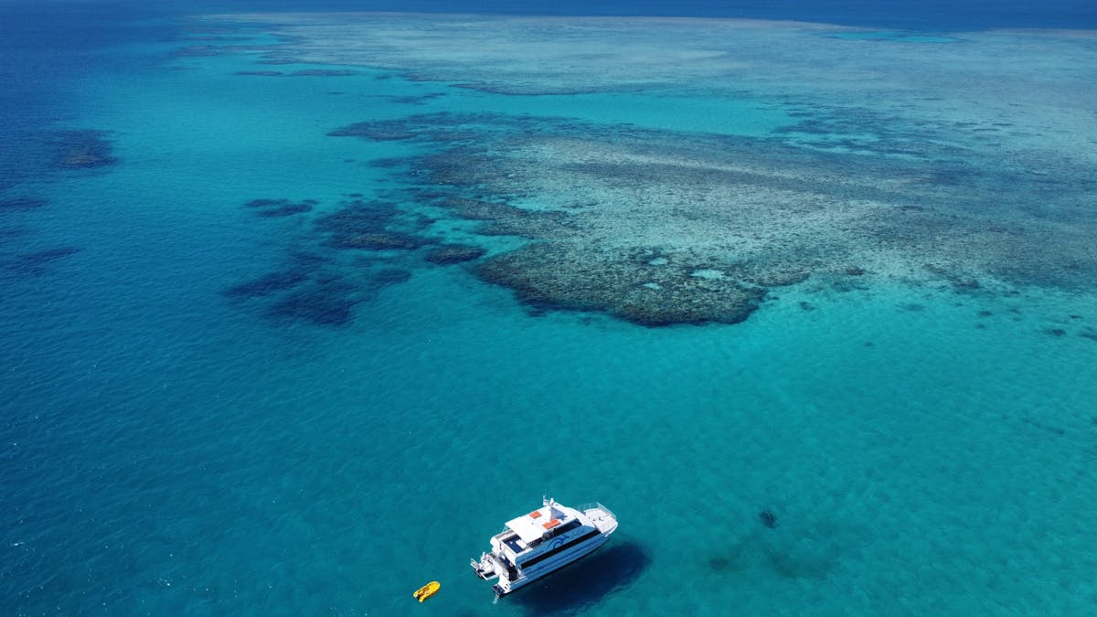 Beaver Reef