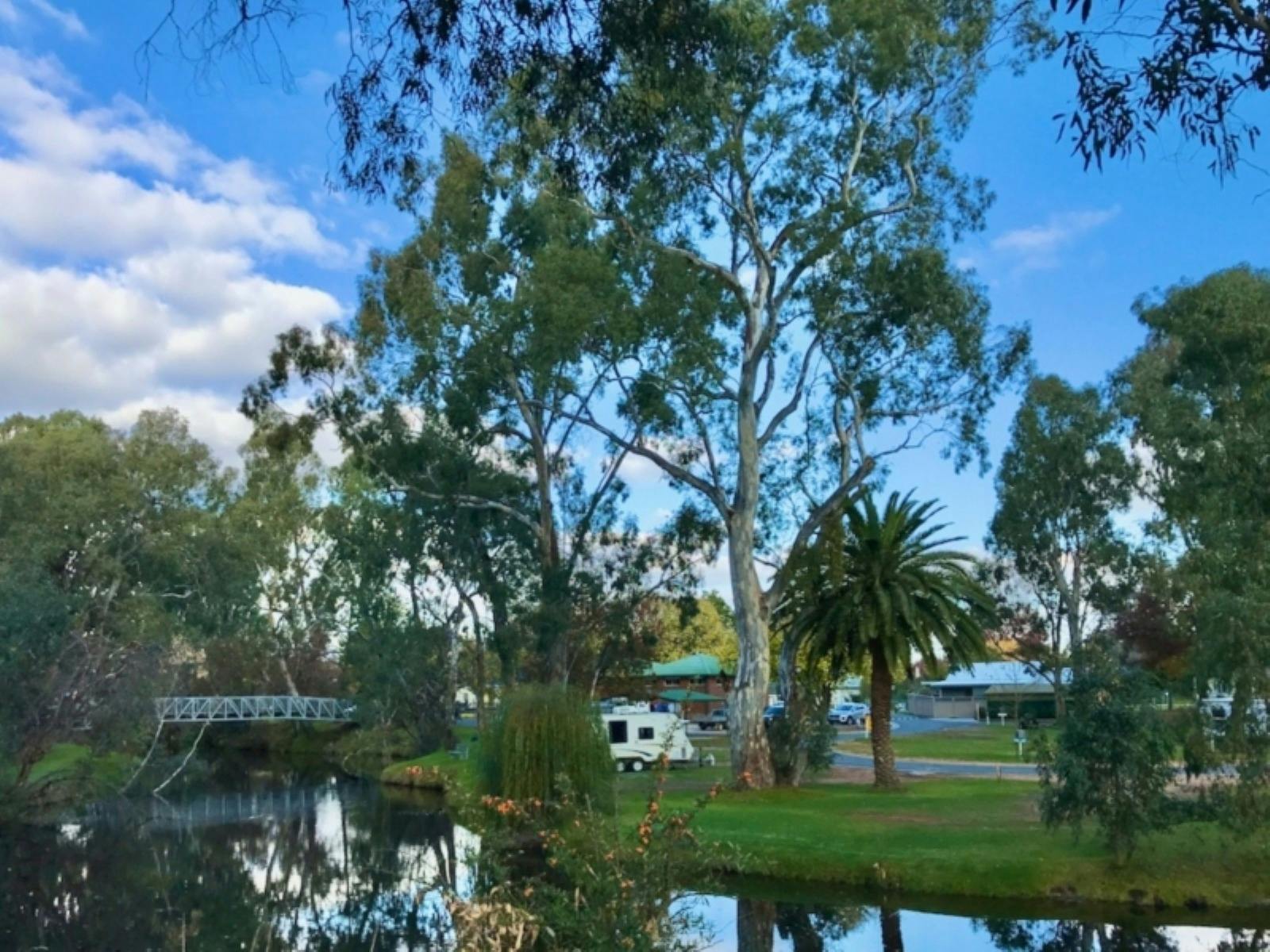 Photo of the park along Seven Creeks Walk