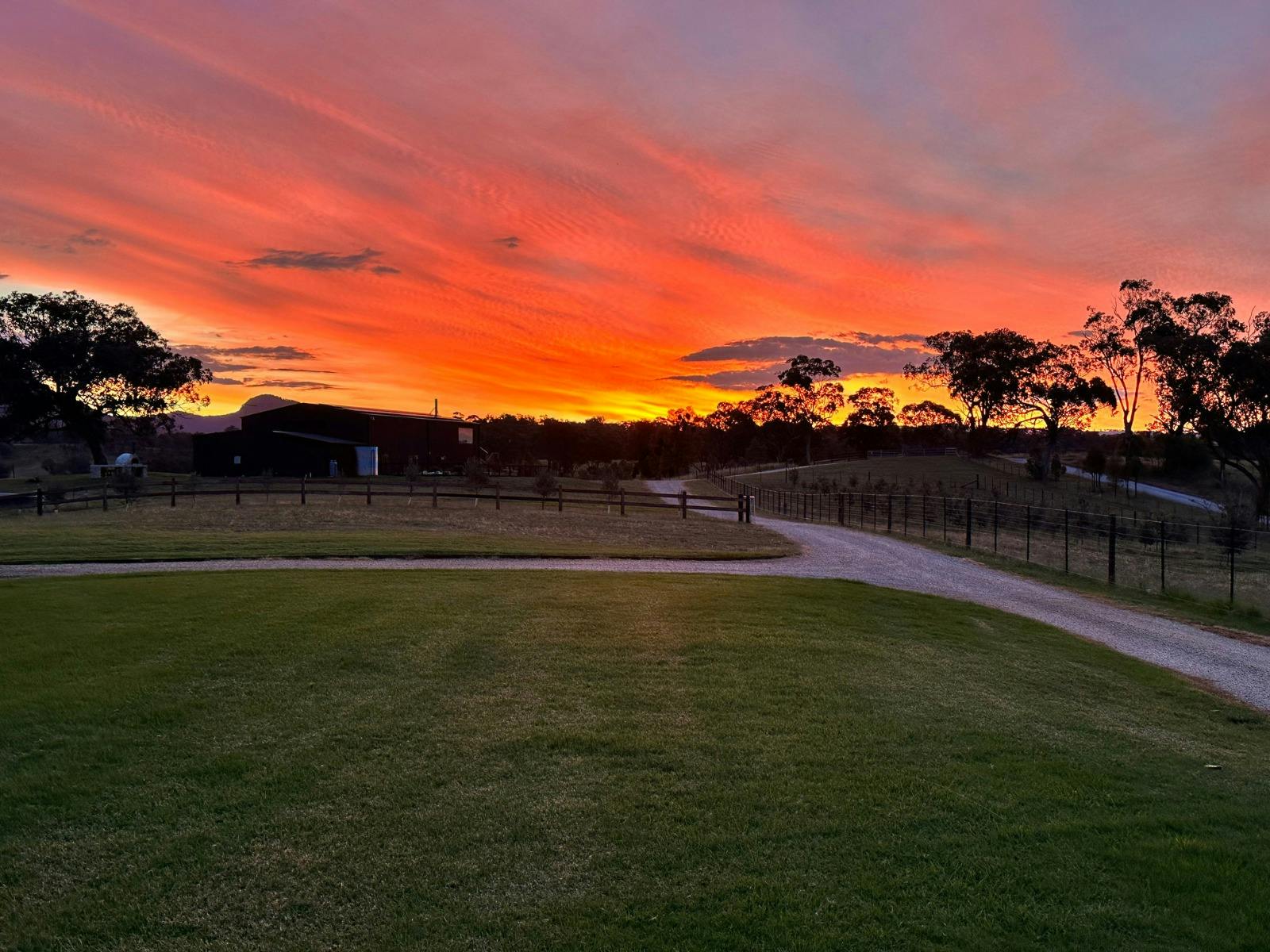 Sunset Tuscany Truffle Farm