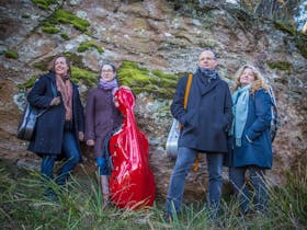 Acacia Quartet in Concert
